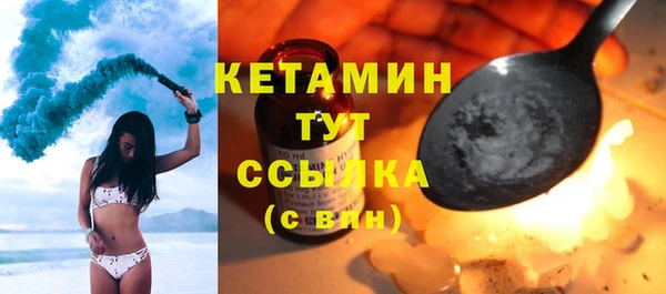 прущие грибы Вязники