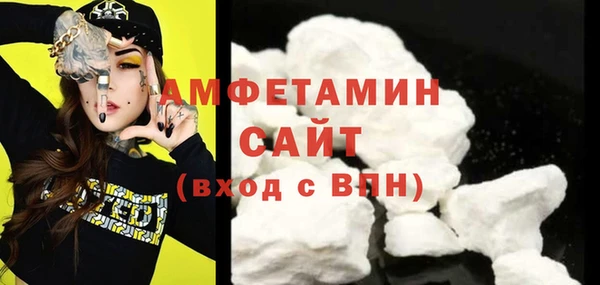 прущие грибы Волоколамск