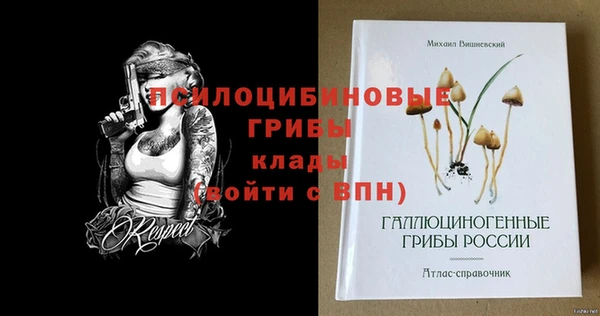 прущие грибы Вязники