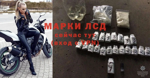 прущие грибы Вязники