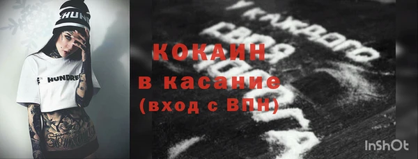 прущие грибы Волоколамск