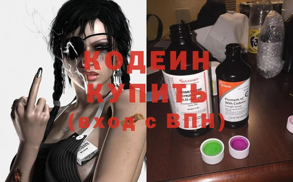 прущие грибы Вязники