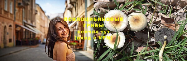 первитин Володарск