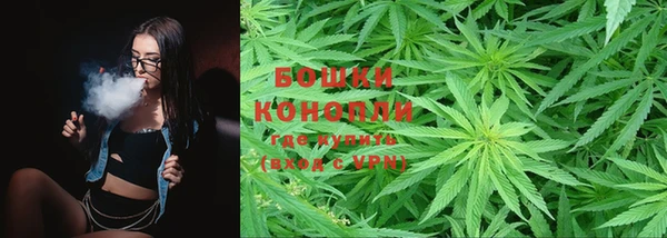 прущие грибы Волоколамск
