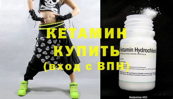 прущие грибы Вязники