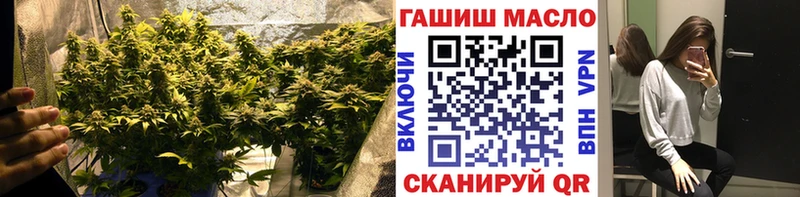 ТГК гашишное масло  где купить наркоту  Ивдель 